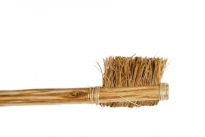 'ancient toothbrush'